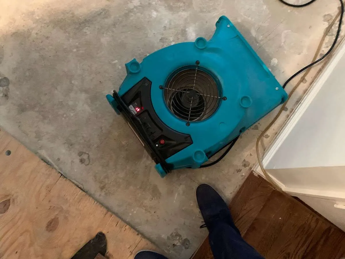 Air mover drying subfloor during Leak Detection & Repair in Prospect Park